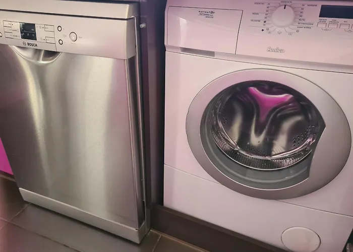 Oasis טרנובסקי גאורי